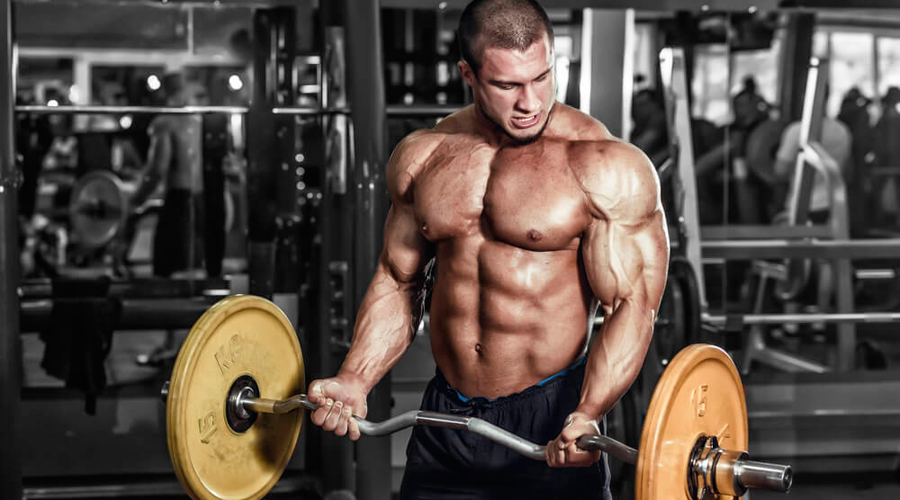 И силовая нагрузка после На беге утренние мытарства только начинаются. Чтобы сохранить с трудом набранную мышечную массу, аэробную тренировку нужно завершать тренировкой силовой. Оставьте в программе только базовые упражнения и не перебирайте с весами, большие мускулы в таком режиме нарастить все равно не получится.