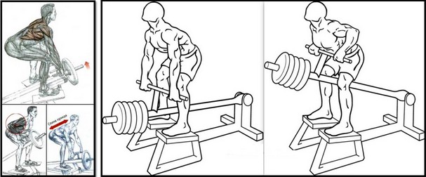 Тяга т-грифа, техника выполнения Тяга т-грифа, техника выполнения