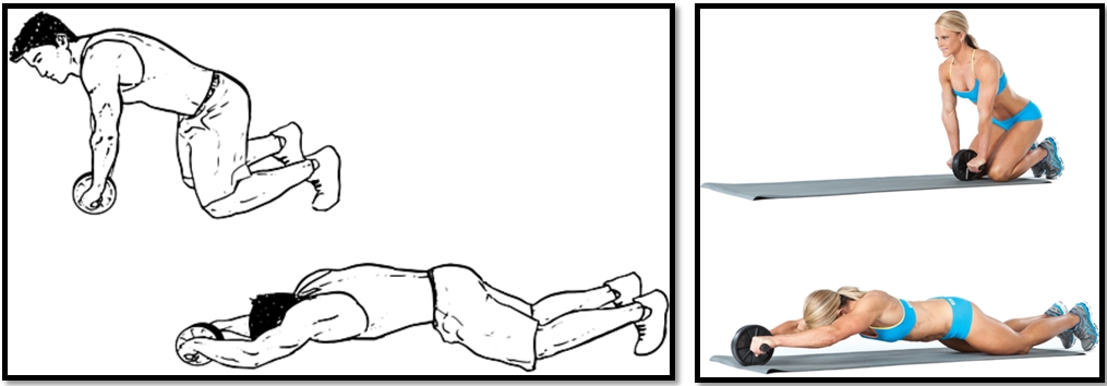 Упражнение ролик для пресса техника выполнения Упражнение ролик для пресса техника выполнения