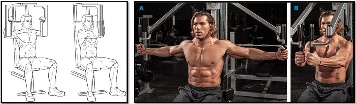 Упражнение бабочка техника выполнения Упражнение бабочка техника выполнения