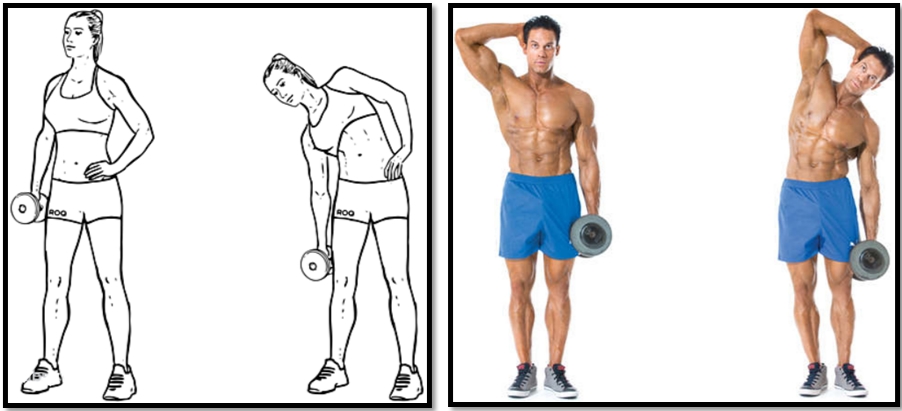 Наклоны в сторону с гантелью техника выполнения Наклоны в сторону с гантелью техника выполнения