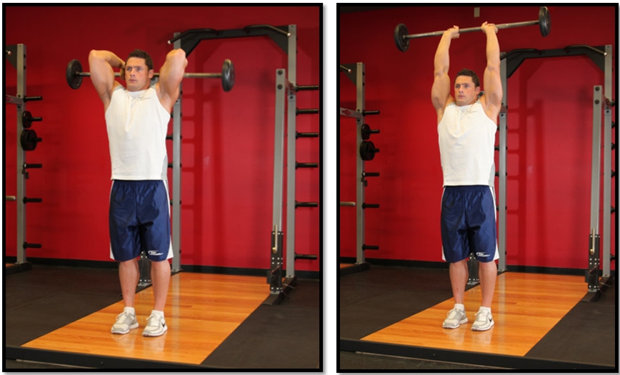 Французский жим стоя техника выполнения Французский жим стоя техника выполнения