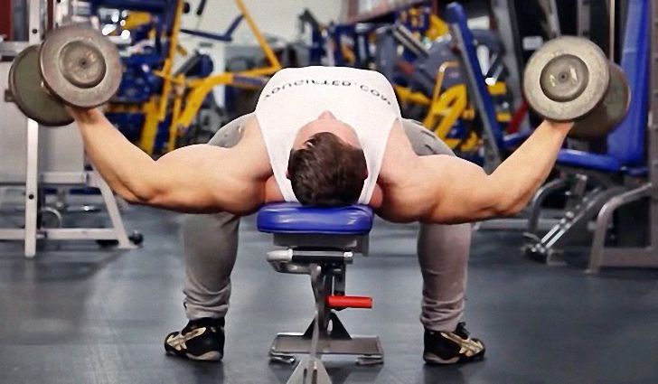 Как накачать грудные мышцы с помощью гантелей Как накачать грудные мышцы с помощью гантелей