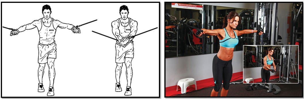 Упражнение кроссовер, техника выполнения Упражнение кроссовер, техника выполнения