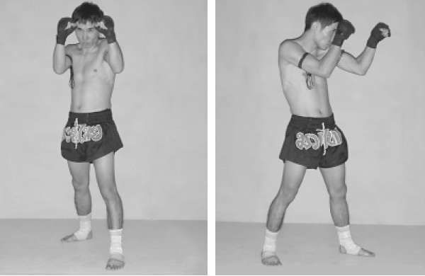 Положение рук, кисти, кулака,колена в боевой стойке кикбоксера