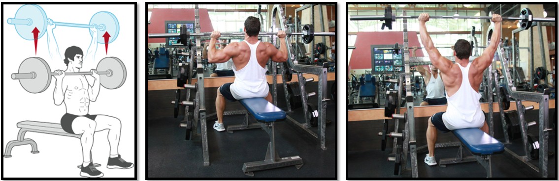 Жим штанги сидя, техника выполнения Жим штанги сидя, техника выполнения