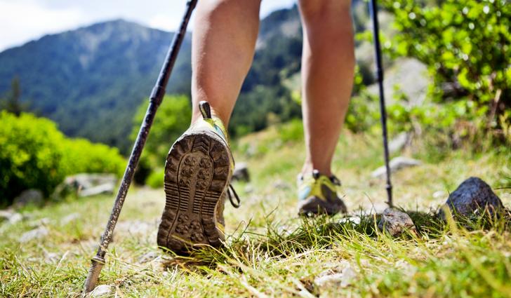 Техника скандинавской ходьбы Техника скандинавской ходьбы