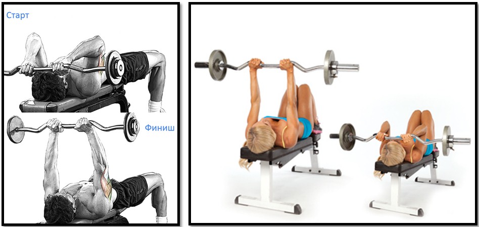Французский жим, техника выполнения Французский жим, техника выполнения