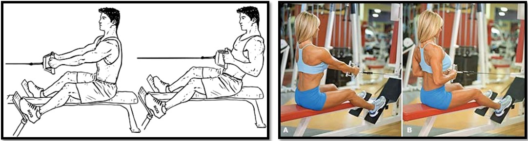 Тяга нижнего блока тезника выполнения Тяга нижнего блока тезника выполнения