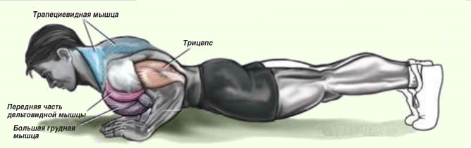 Отжимания от пола узким хватом Отжимания от пола узким хватом