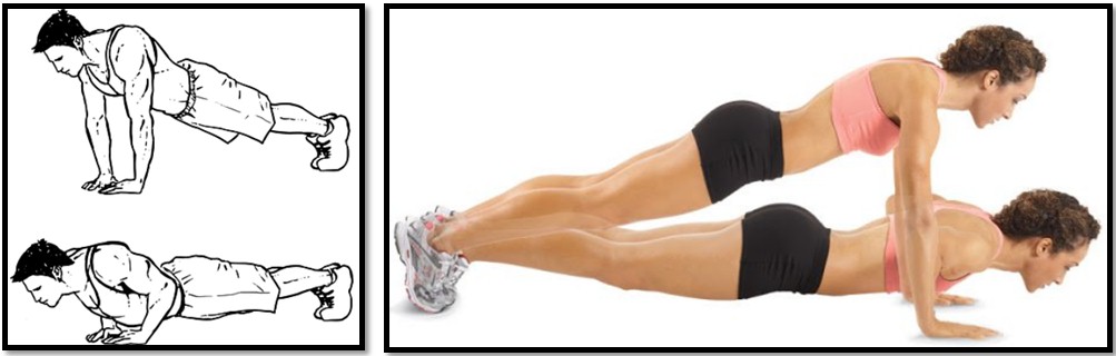 Отжимания узким хватом техника выполнения Отжимания узким хватом техника выполнения