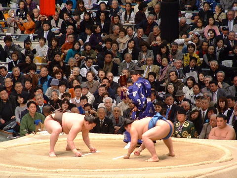 Словарь терминов сумо