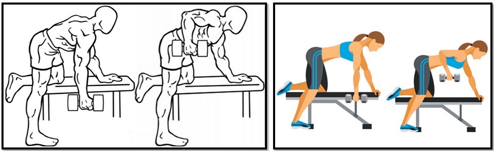 Тяга гантели в наклоне, техника выполнения Тяга гантели в наклоне, техника выполнения