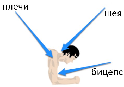 Планка, верхний отдел мышц Планка, верхний отдел мышц