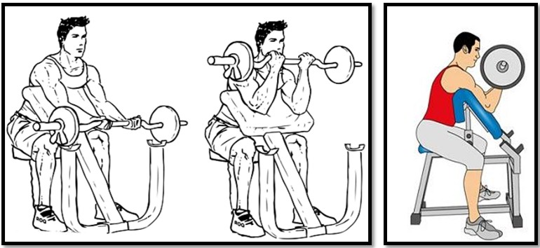 Сгибания рук на скамье Скотта техника выполнения Сгибания рук на скамье Скотта техника выполнения