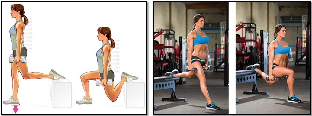 Болгарские выпады техника выполнения Болгарские выпады техника выполнения