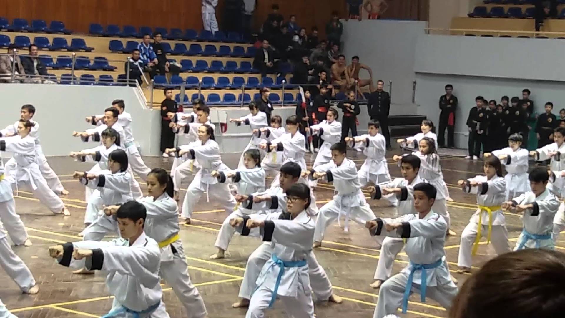 Ким-ке вьетнамский рукопашный бой Ким-ке вьетнамский рукопашный бой