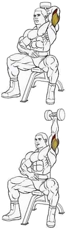 Упражнение на трицепс: разгибание рук из-за головы Упражнение на трицепс: разгибание рук из-за головы