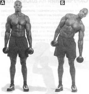 Наклоны в стороны с гантелями Наклоны в стороны с гантелями