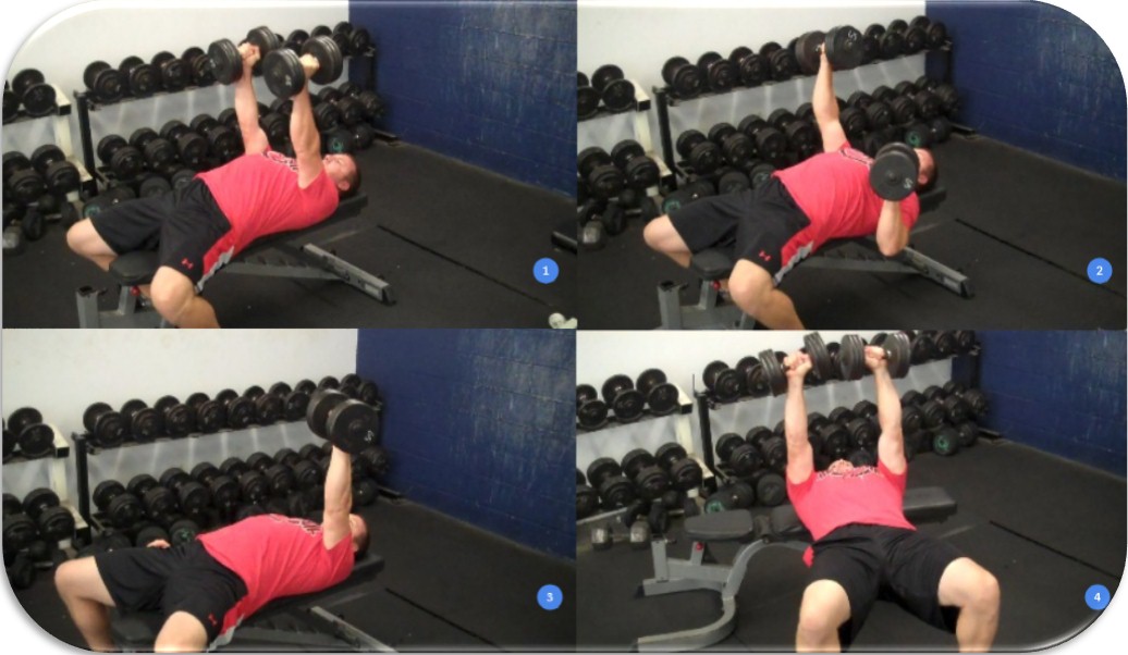 Варианты жима гантелей лежа Варианты жима гантелей лежа