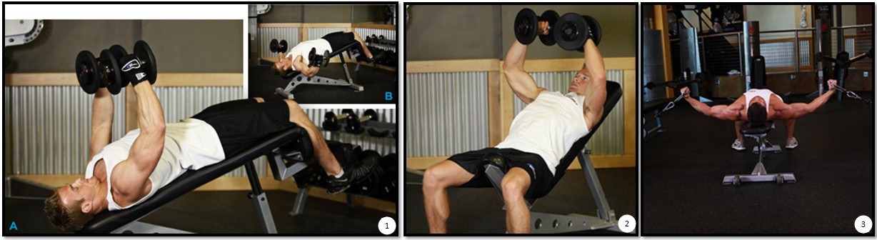 Разводка гантелей, вариации Разводка гантелей, вариации