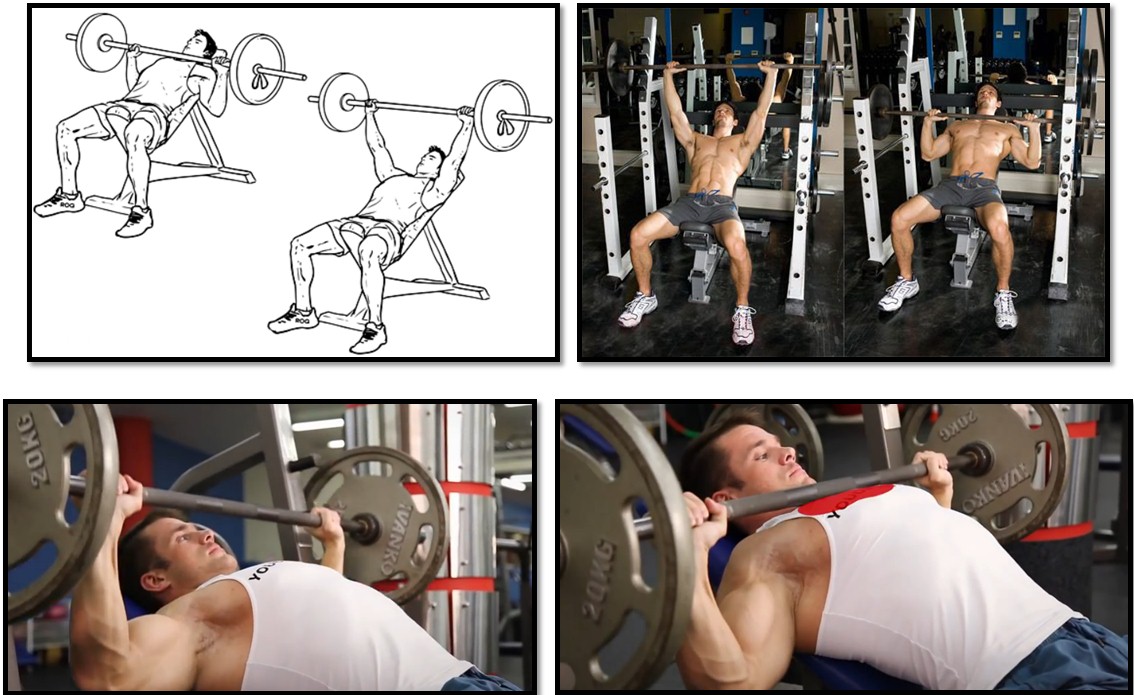 Жим штанги на наклонной скамье, техника выполнения Жим штанги на наклонной скамье, техника выполнения