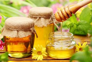 Углеводы Углеводы