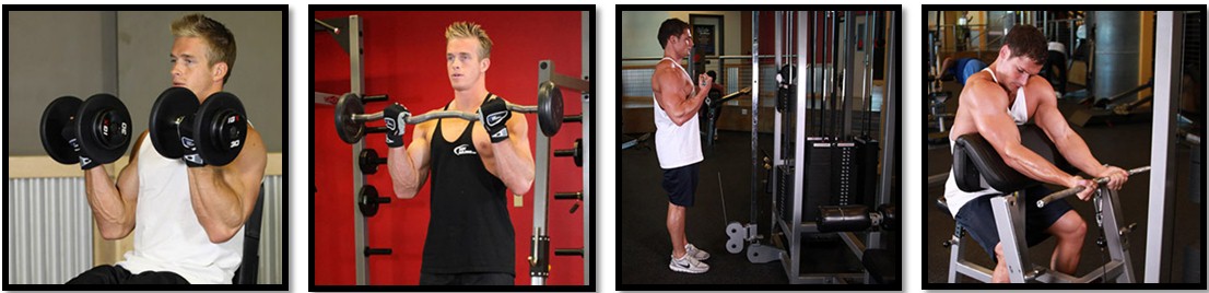 Подъем штанги на бицепс, вариации Подъем штанги на бицепс, вариации