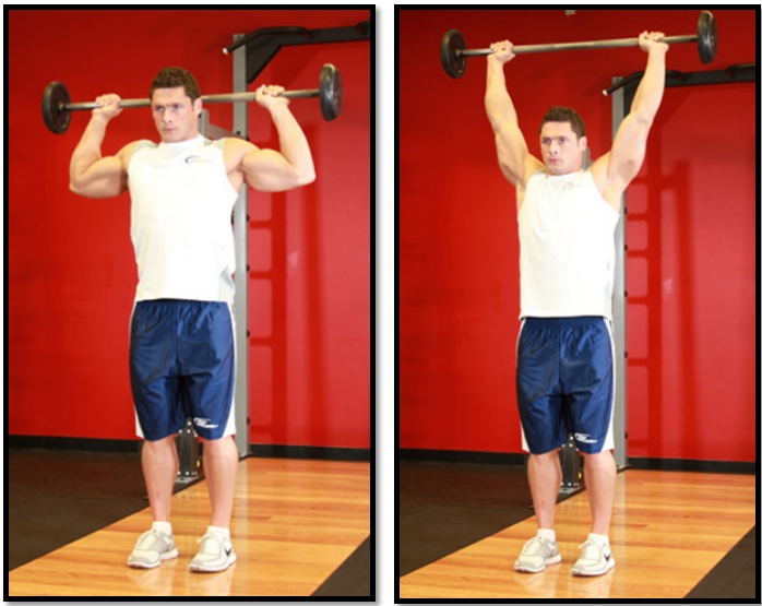 Жим штанги из-за головы техника выполнения Жим штанги из-за головы техника выполнения