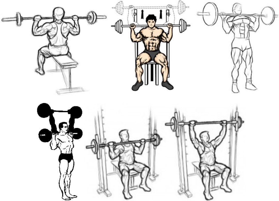 Жим штанги сидя, вариации Жим штанги сидя, вариации