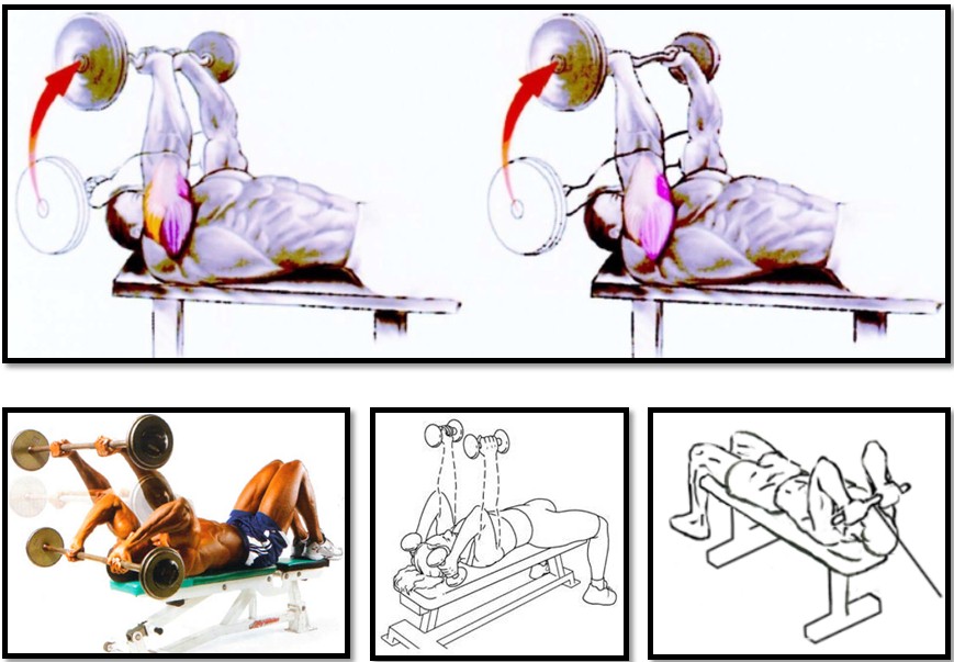 Французский жим, вариации Французский жим, вариации