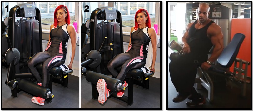 Разгибание ног сидя вариации Разгибание ног сидя вариации