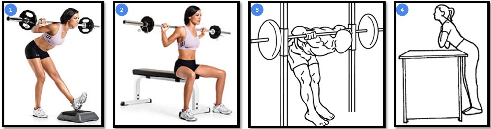 Наклоны со штангой на плечах вариации Наклоны со штангой на плечах вариации