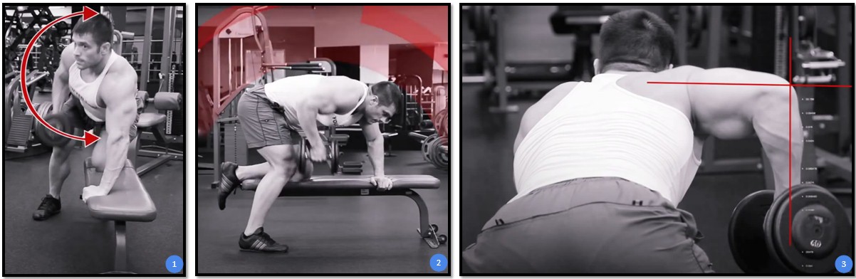 Тяга гантели в наклоне, основные ошибки Тяга гантели в наклоне, основные ошибки