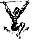 Рисунок: вращательные тазовые движения в висе на турнике Рисунок: вращательные тазовые движения в висе на турнике