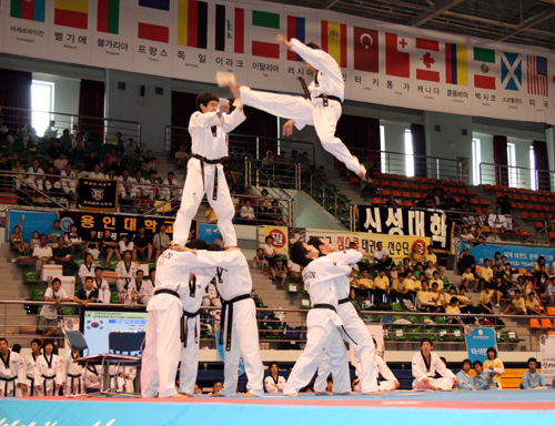 Словарь терминов тхэквондо