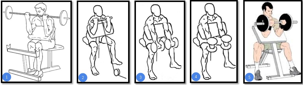 Сгибания рук на скамье Скотта вариации Сгибания рук на скамье Скотта вариации
