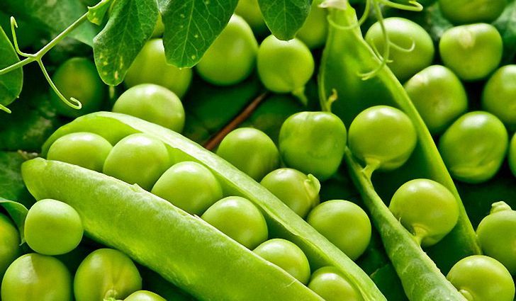 Как вывести из организма воду Как вывести из организма воду