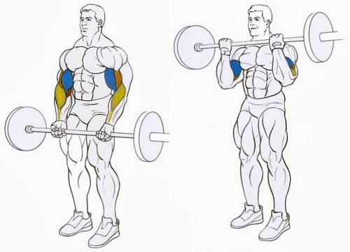 Подъем штанги на бицепс стоя Подъем штанги на бицепс стоя
