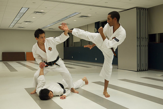 Словарь терминов кэмпо