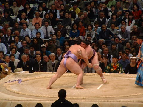 Словарь терминов сумо