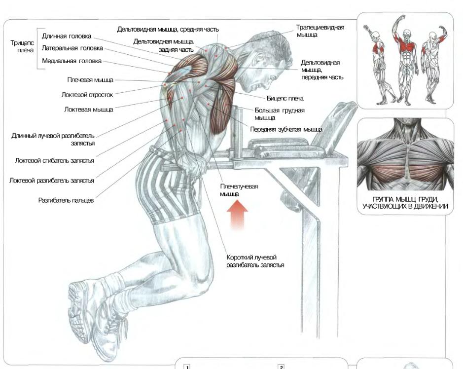 Бокс брусья