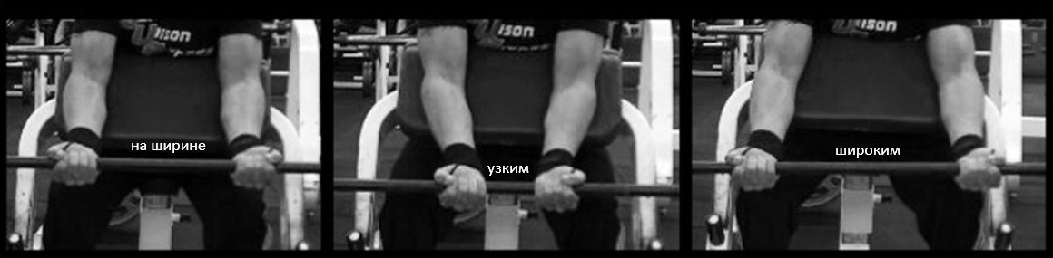 Сгибания рук на скамье Скотта, виды хвата Сгибания рук на скамье Скотта, виды хвата