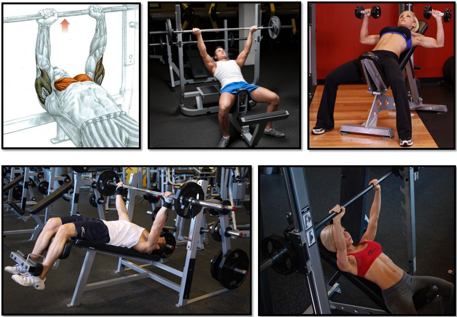 Жим штанги на наклонной скамье, вариации Жим штанги на наклонной скамье, вариации