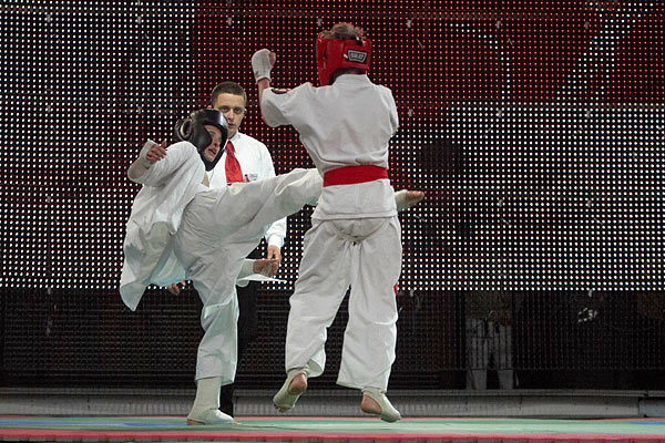 каратэ кекусинкай