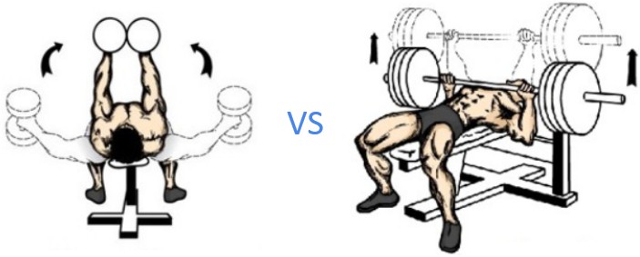 Жим штанги против разводки гантелей Жим штанги против разводки гантелей
