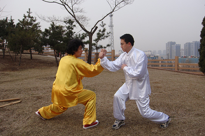 стиль богомола