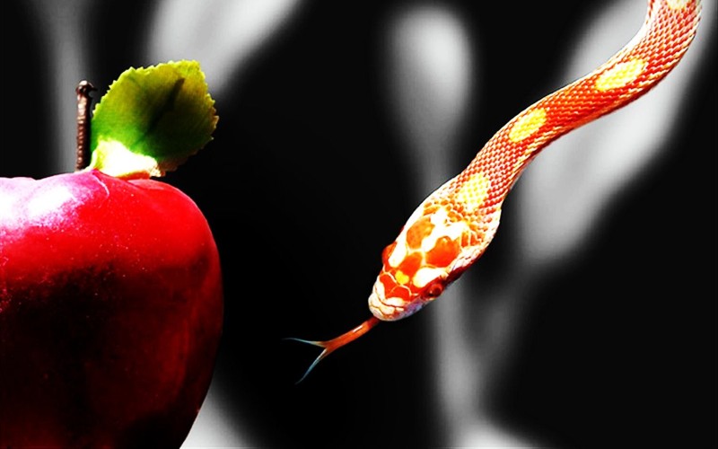 Сопротивляйтесь искушениям Вы можете улучшить свою силу воли, говоря «нет» соблазнам, что преследуют вас в течение всего дня. Просто носите с собой что-то маленькое, но обладающее притягательной силой для вас (плитку шоколада, например, если любите сладкое). Раз за разом говоря «нет» одному искушению, вам легче будет противостоять другим.