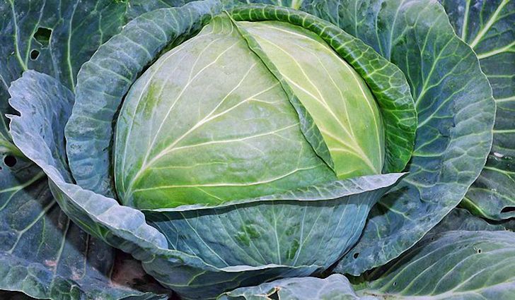 Устранить задержку воды с помощью капусты Устранить задержку воды с помощью капусты