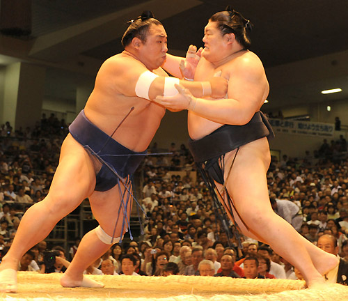 Словарь терминов сумо